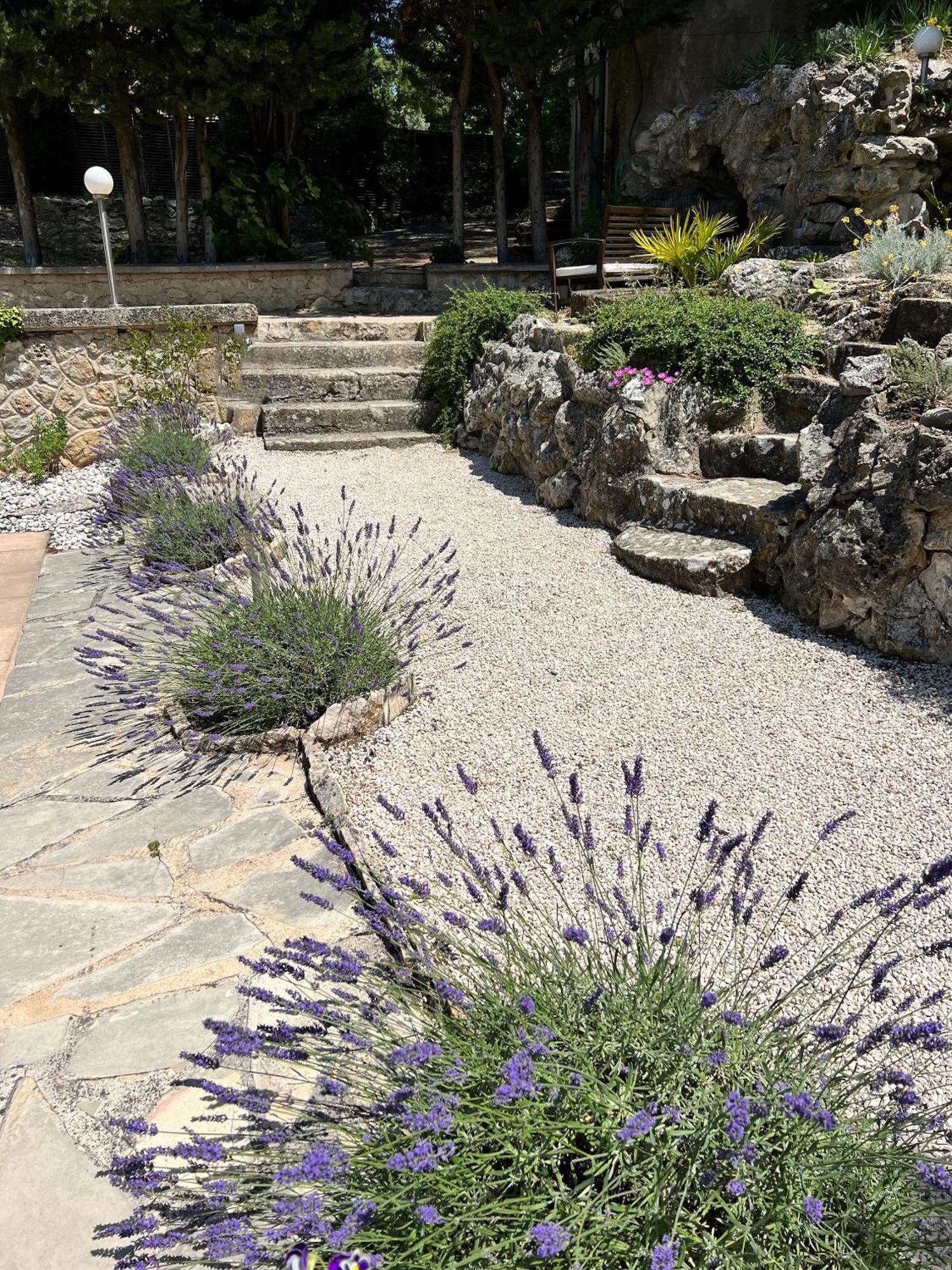 Aux Oiseaux de Provence - Locations de vacances à Lambesc centre Exterior foto