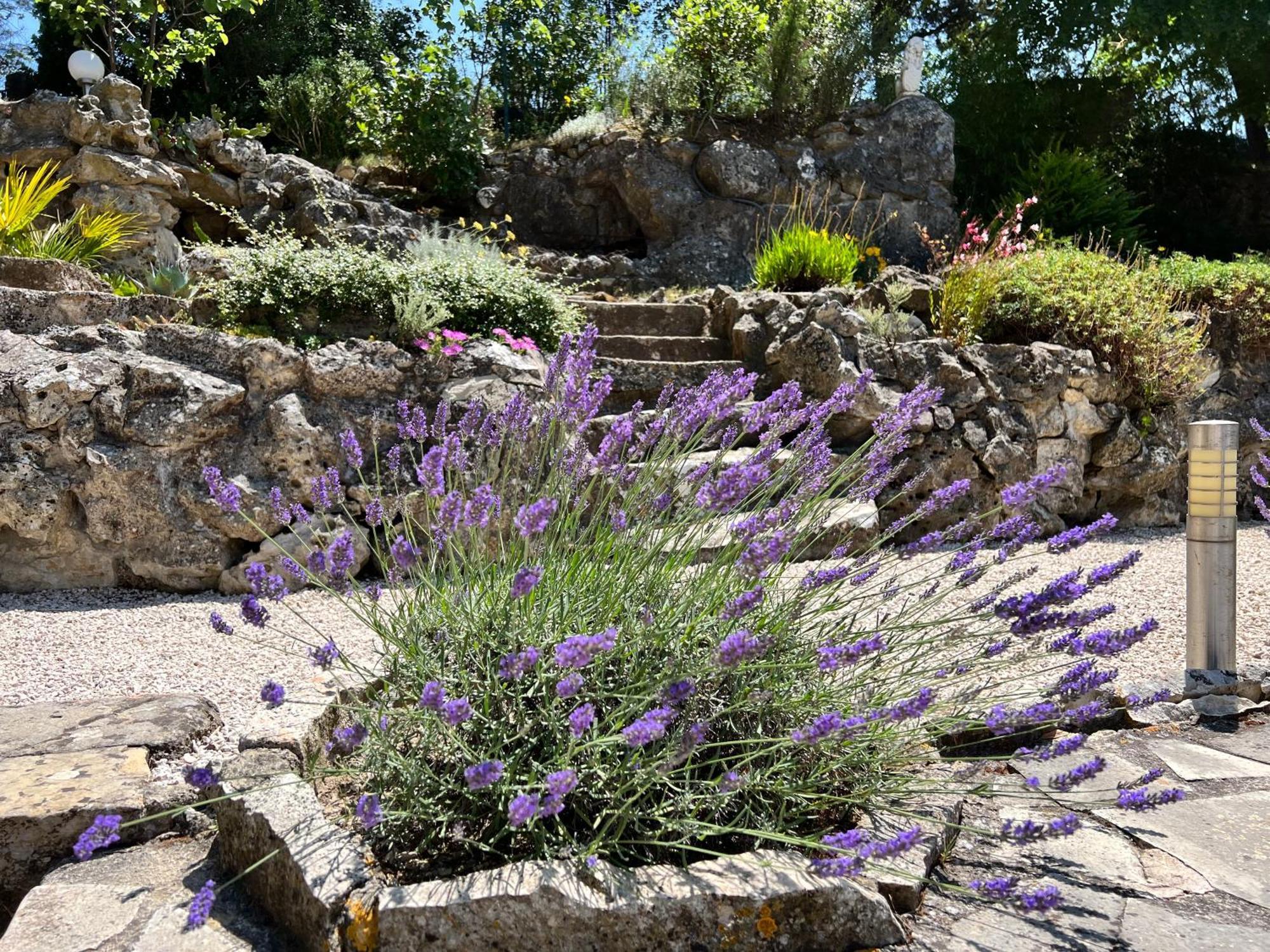 Aux Oiseaux de Provence - Locations de vacances à Lambesc centre Exterior foto